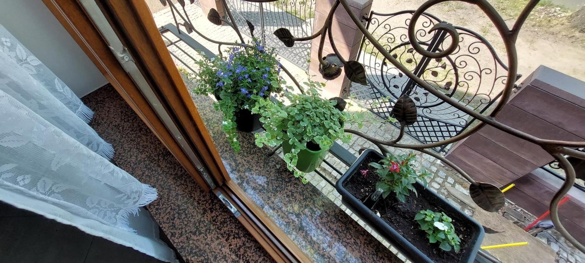 La Brigitte Apartment Hennigsdorf Cameră foto