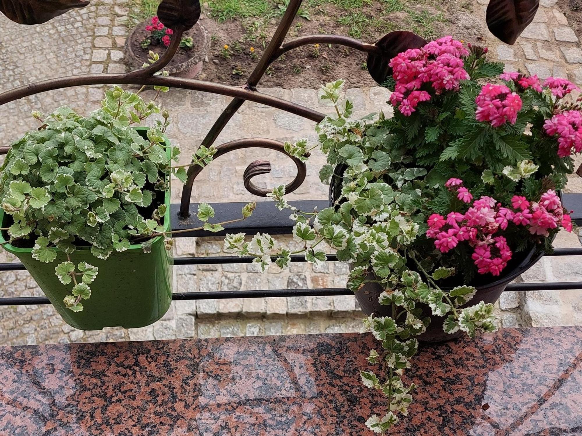 La Brigitte Apartment Hennigsdorf Cameră foto
